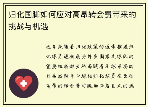 归化国脚如何应对高昂转会费带来的挑战与机遇